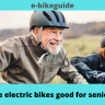 Are electric bikes good for seniors