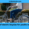 Optimization of electric bicycles for youths with disabilities