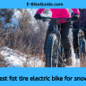 Best fat tire electric bike for snow.